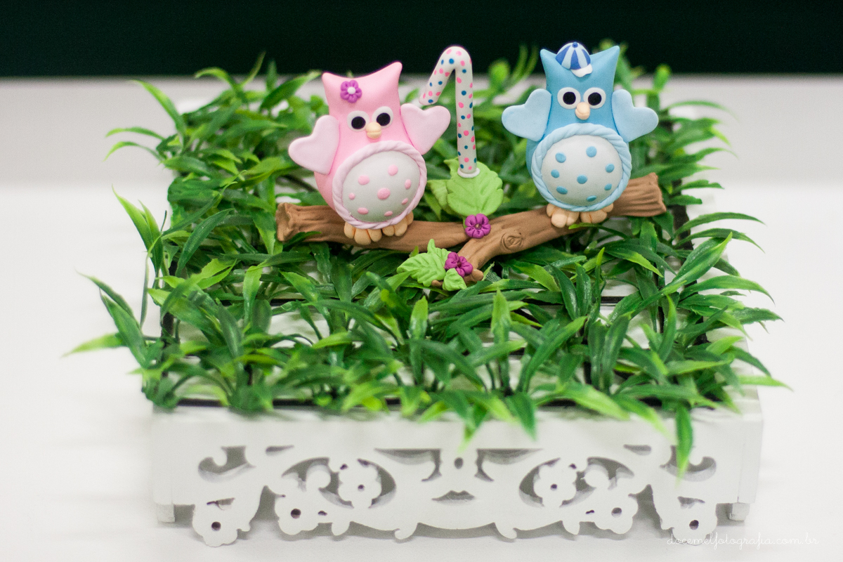 primeiro aninho dos gêmeos Geovana e Bernardo-Tema de corujinhas,São Gonçalo-Rj.