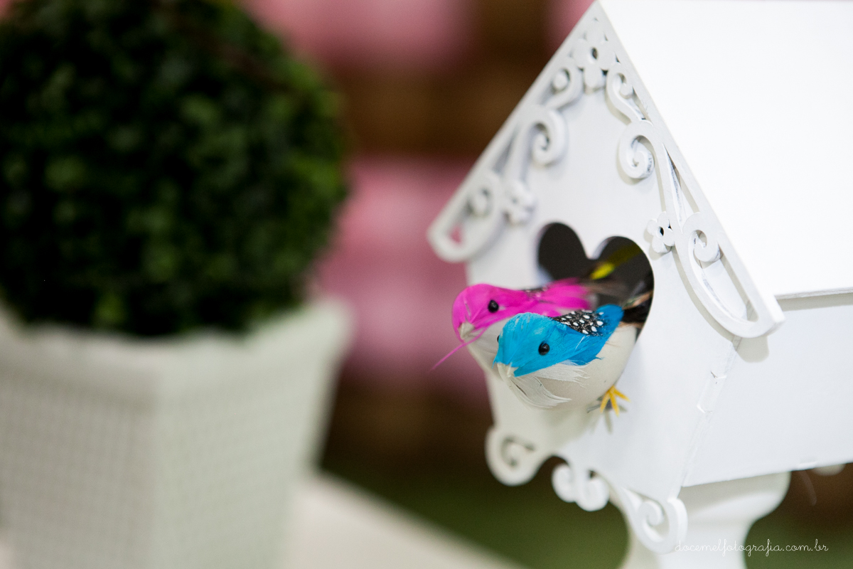 primeiro aninho dos gêmeos Geovana e Bernardo-Tema de corujinhas,São Gonçalo-Rj.