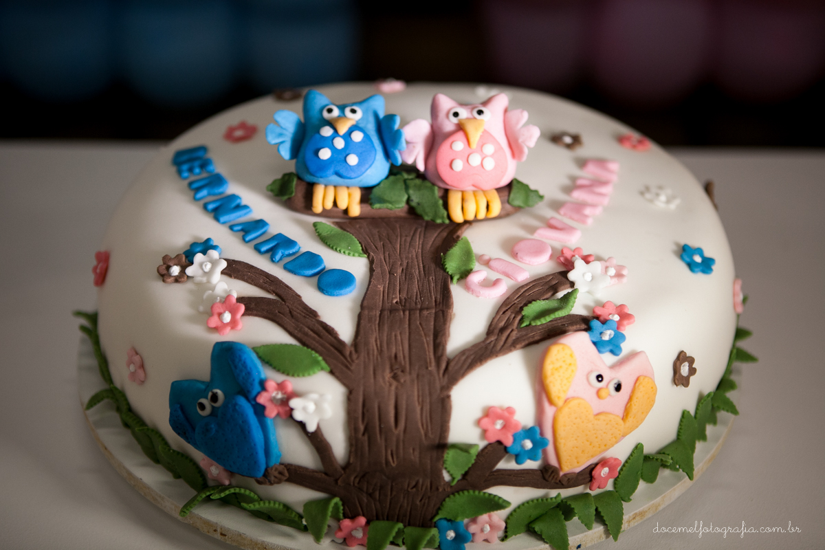 primeiro aninho dos gêmeos Geovana e Bernardo-Tema de corujinhas,São Gonçalo-Rj.