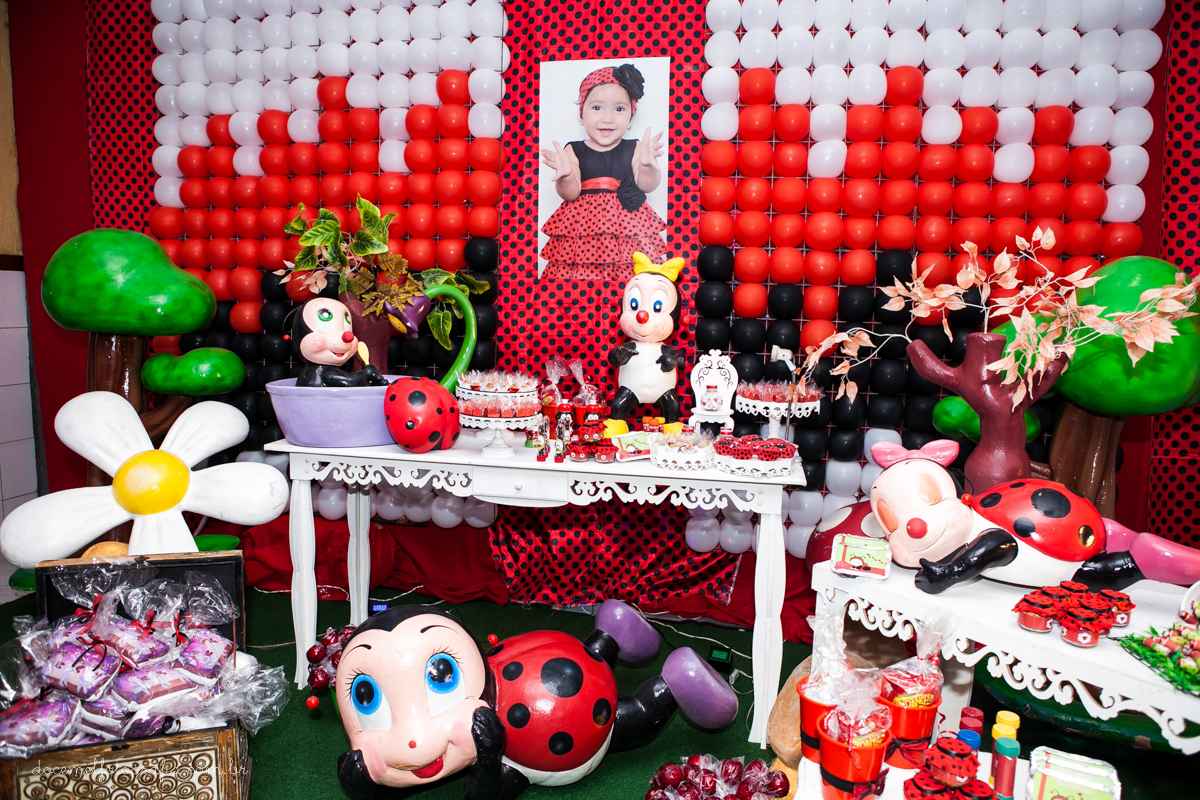 Primeiro aninho,salão de festas D verte Eventos, tema da festa joaninha, Lia Freitas, São Gonçalo-RJ