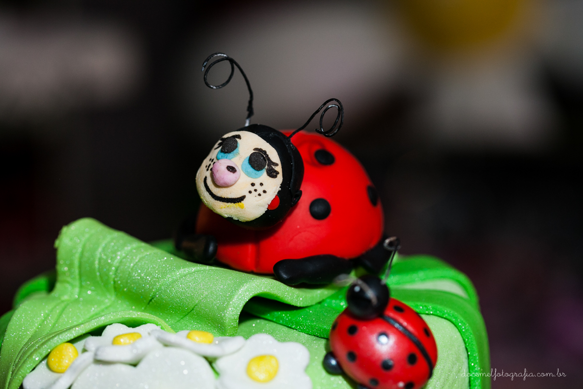 Primeiro aninho,salão de festas D verte Eventos, tema da festa joaninha, Lia Freitas, São Gonçalo-RJ