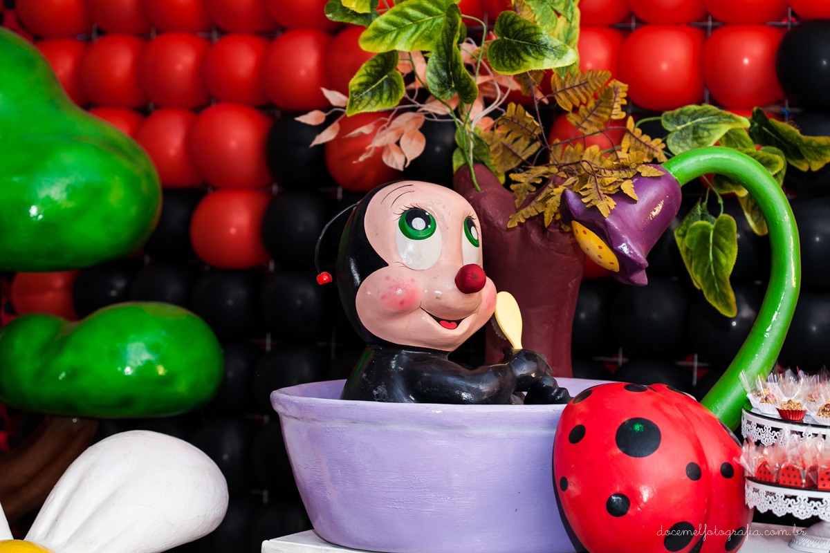 Primeiro aninho,salão de festas D verte Eventos, tema da festa joaninha, Lia Freitas, São Gonçalo-RJ