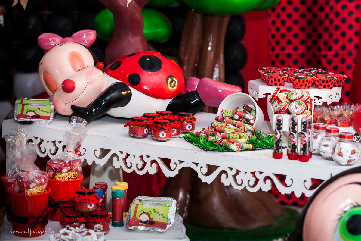 Primeiro aninho,salão de festas D verte Eventos, tema da festa joaninha, Lia Freitas, São Gonçalo-RJ