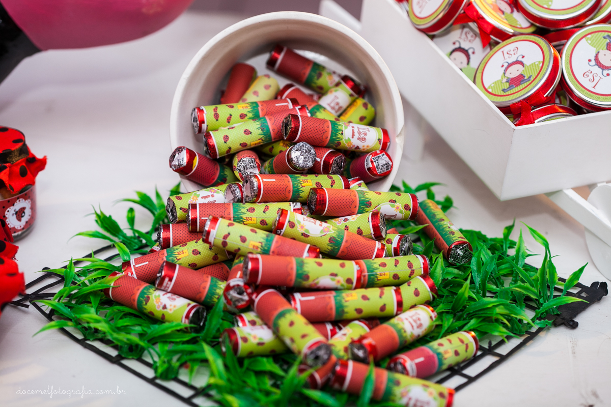 Primeiro aninho,salão de festas D verte Eventos, tema da festa joaninha, Lia Freitas, São Gonçalo-RJPrimeiro aninho,salão de festas D verte Eventos, tema da festa joaninha, Lia Freitas, São Gonçalo-RJ