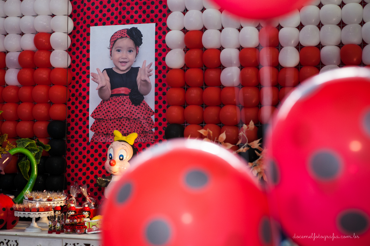 Primeiro aninho,salão de festas D verte Eventos, tema da festa joaninha, Lia Freitas, São Gonçalo-RJPrimeiro aninho,salão de festas D verte Eventos, tema da festa joaninha, Lia Freitas, São Gonçalo-RJ