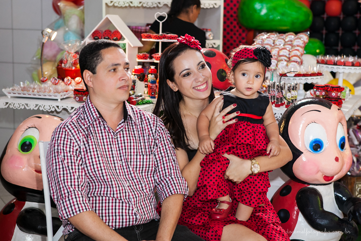 Primeiro aninho,salão de festas D verte Eventos, tema da festa joaninha, Lia Freitas, São Gonçalo-RJ