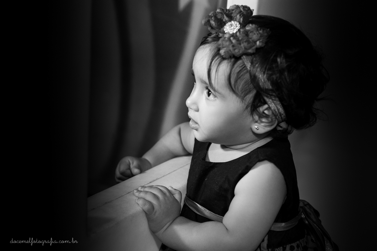 Primeiro aninho,salão de festas D verte Eventos, tema da festa joaninha, Lia Freitas, São Gonçalo-RJ