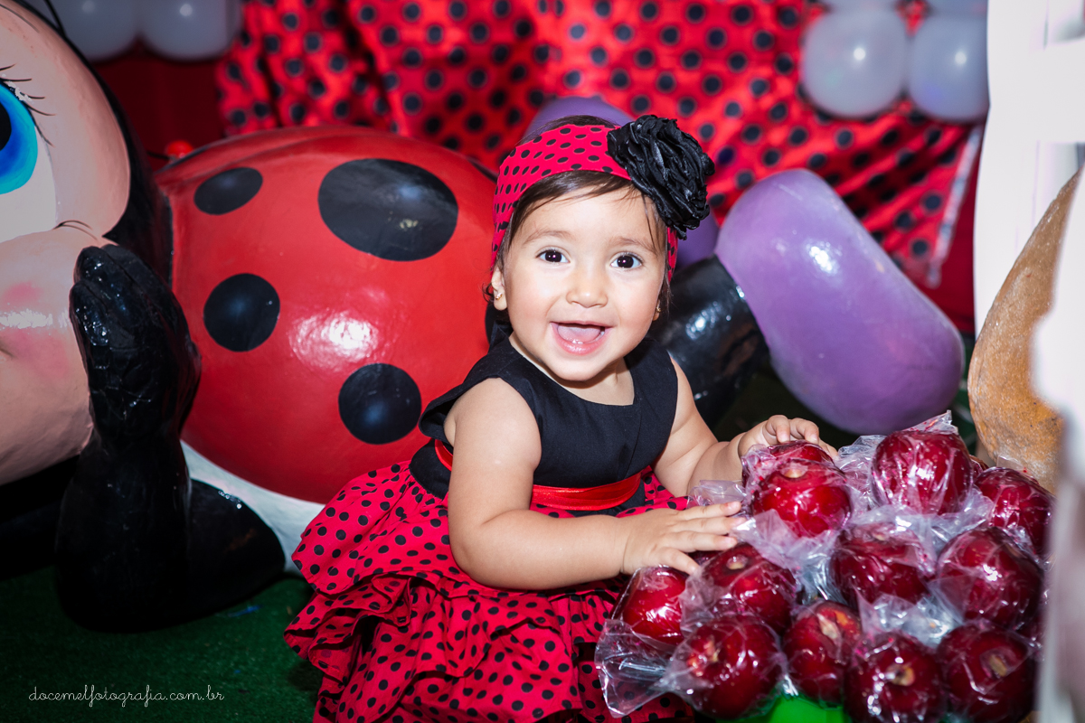 Primeiro aninho,salão de festas D verte Eventos, tema da festa joaninha, Lia Freitas, São Gonçalo-RJ