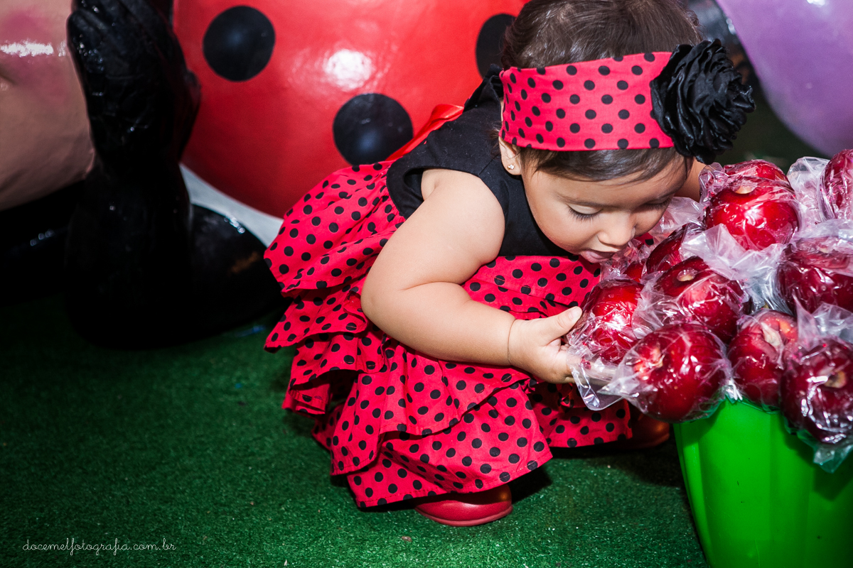 Primeiro aninho,salão de festas D verte Eventos, tema da festa joaninha, Lia Freitas, São Gonçalo-RJ