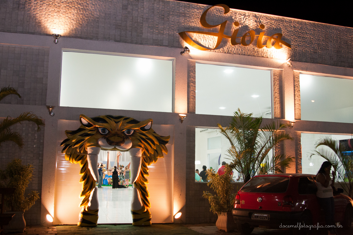 Primeiro aninho,salão de festa Gioia, festa infantil, tema a arca de noé, São gonçalo-RJ