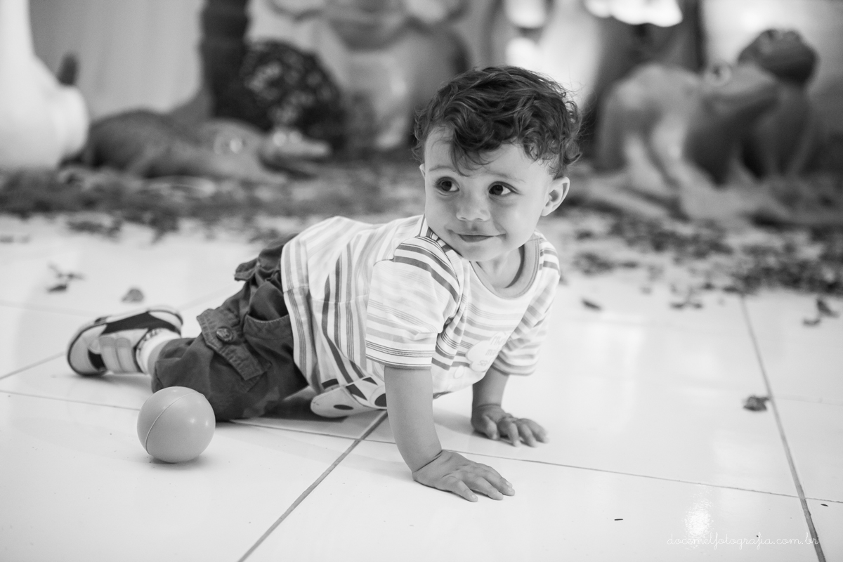 Primeiro aninho,salão de festa Gioia, festa infantil, tema a arca de noé, São gonçalo-RJ
