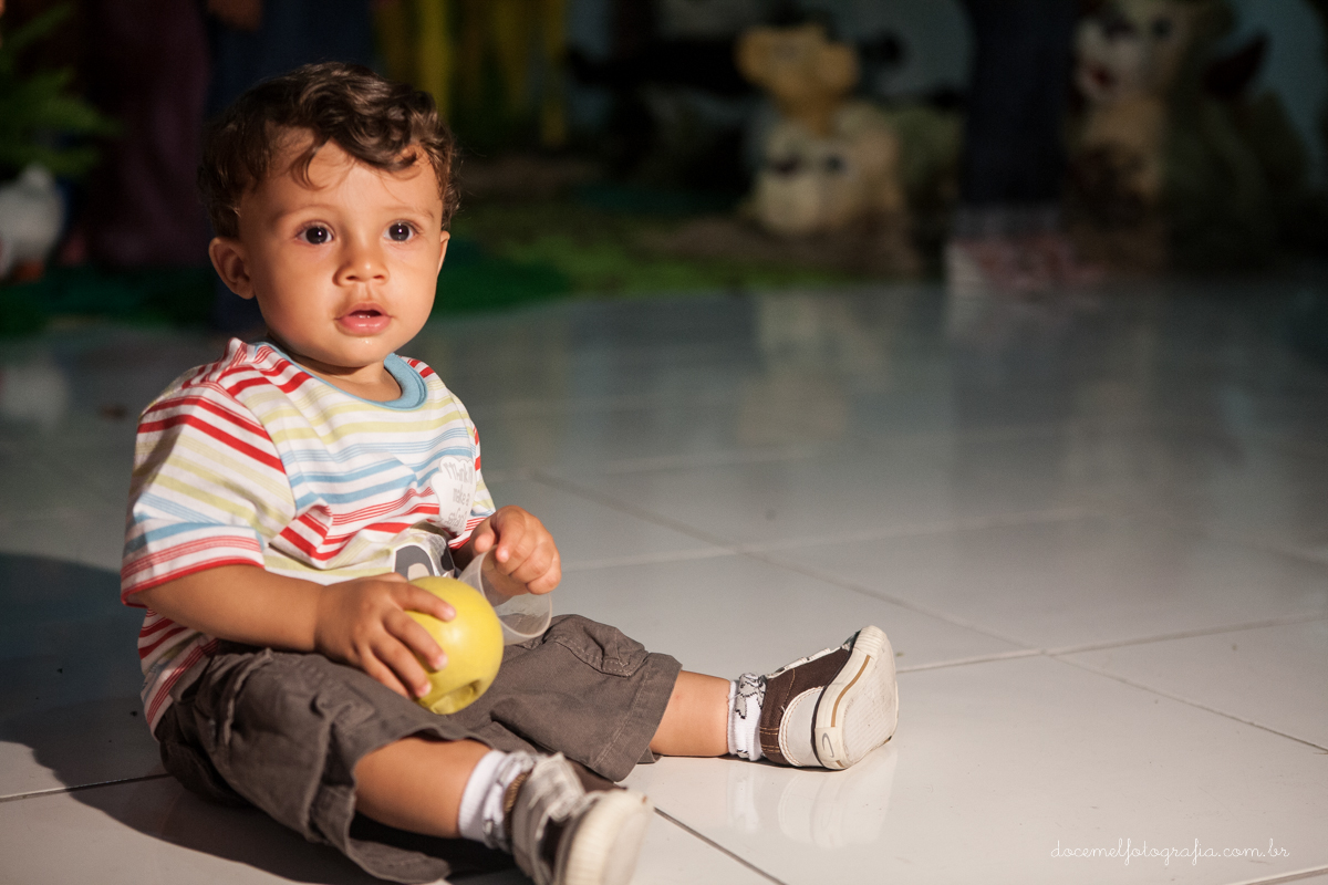 Primeiro aninho,salão de festa Gioia, festa infantil, tema a arca de noé, São gonçalo-RJ
