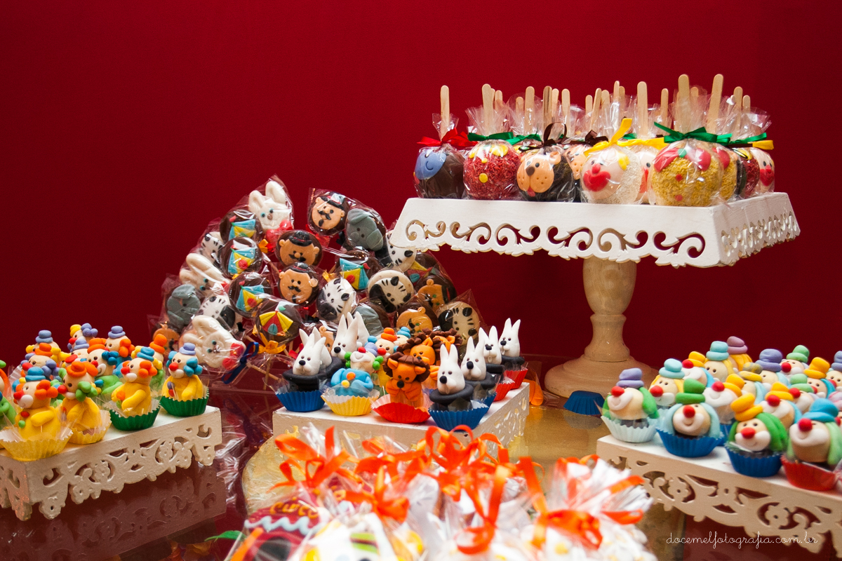 Fotografia infantil, fotografia de família, primeiro aninho, Salão de Festas lua nova, Tio Deicinho Animações, São Gonçalo -RJ-