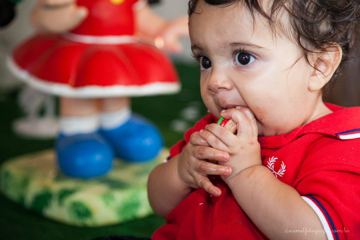 Fotografia infantil, fotografia de família, primeiro aninho, Casa de Festas Era uma vez, Tema turma da  Mônica, Niterói-RJ