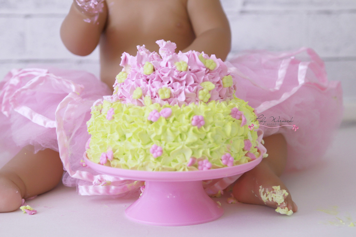 SMASH THE CAKE GAMA DF ESTÚDIO BRASÍLIA FOTOGRAFA BEBE INFANTIL CRIANÇA FOTOGRAFIA ENSAIO BEBÊ ENSAIO INFANTIL POLY WERNECK POLYANNA ROSA PINK BOLO CAKE