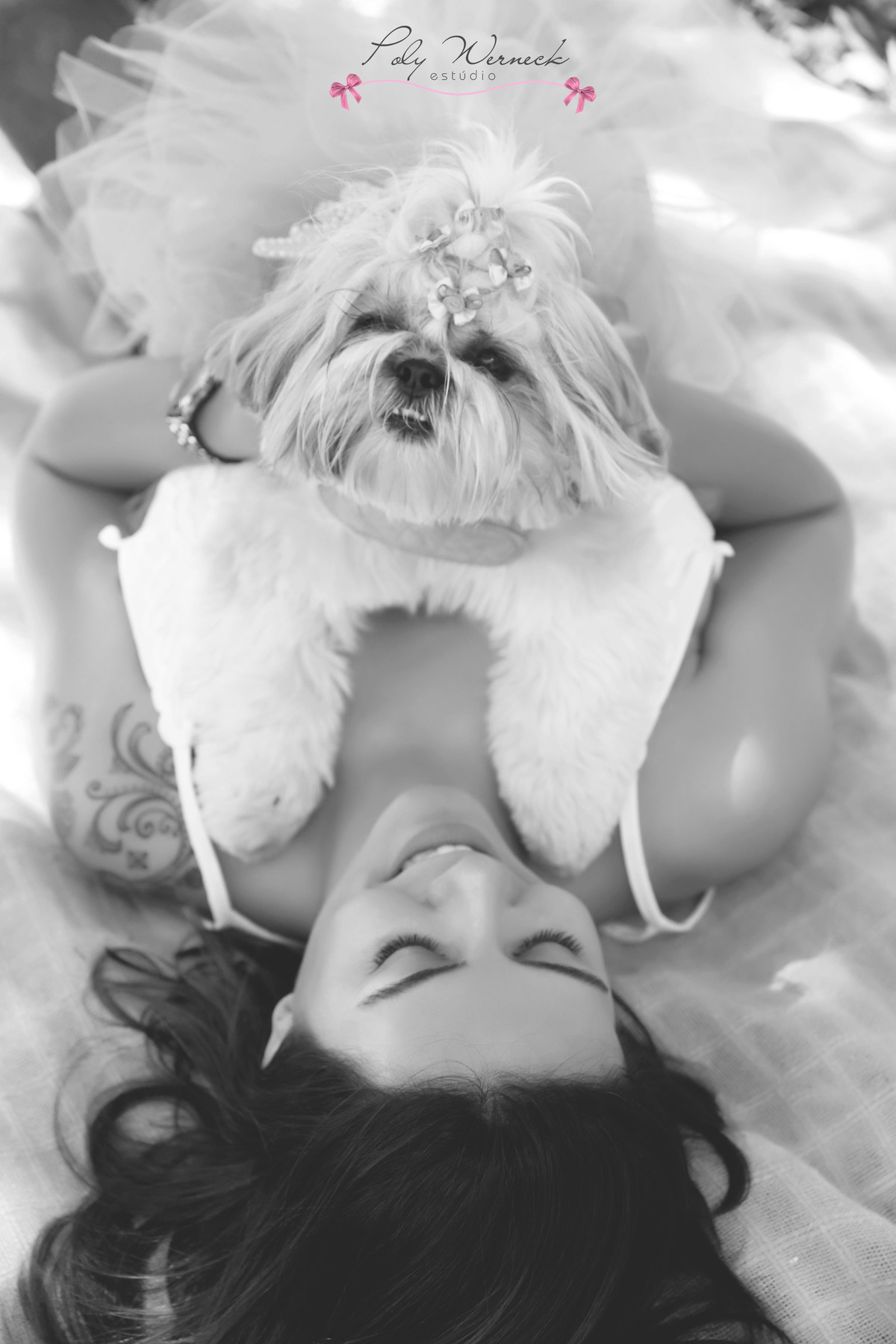 ENSAIO PET DE CACHORRO ANIMAL PET BRASÍLIA FOTOGRAFA DE PET GAMA AMO MEU PET AMO CACHORRO GATO  MELANCIA PETISCOS PIQUENIQUE FOTOGRAFIA BOOK ENSAIO DE CACHORRO IRMÃS PETICOS PET POLY WERNECK POLYANNA