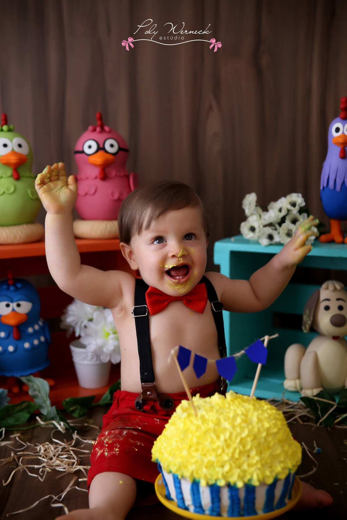 SMASH THE CAKE GAMA DF ESTÚDIO BRASÍLIA FOTOGRAFA BEBE INFANTIL CRIANÇA FOTOGRAFIA ENSAIO BEBÊ ENSAIO INFANTIL POLY WERNECK POLYANNA ROSA PINK BOLO CAKE