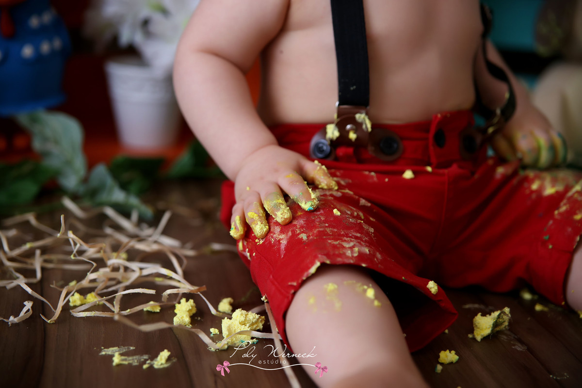 SMASH THE CAKE GAMA DF ESTÚDIO BRASÍLIA FOTOGRAFA BEBE INFANTIL CRIANÇA FOTOGRAFIA ENSAIO BEBÊ ENSAIO INFANTIL POLY WERNECK POLYANNA ROSA PINK BOLO CAKE