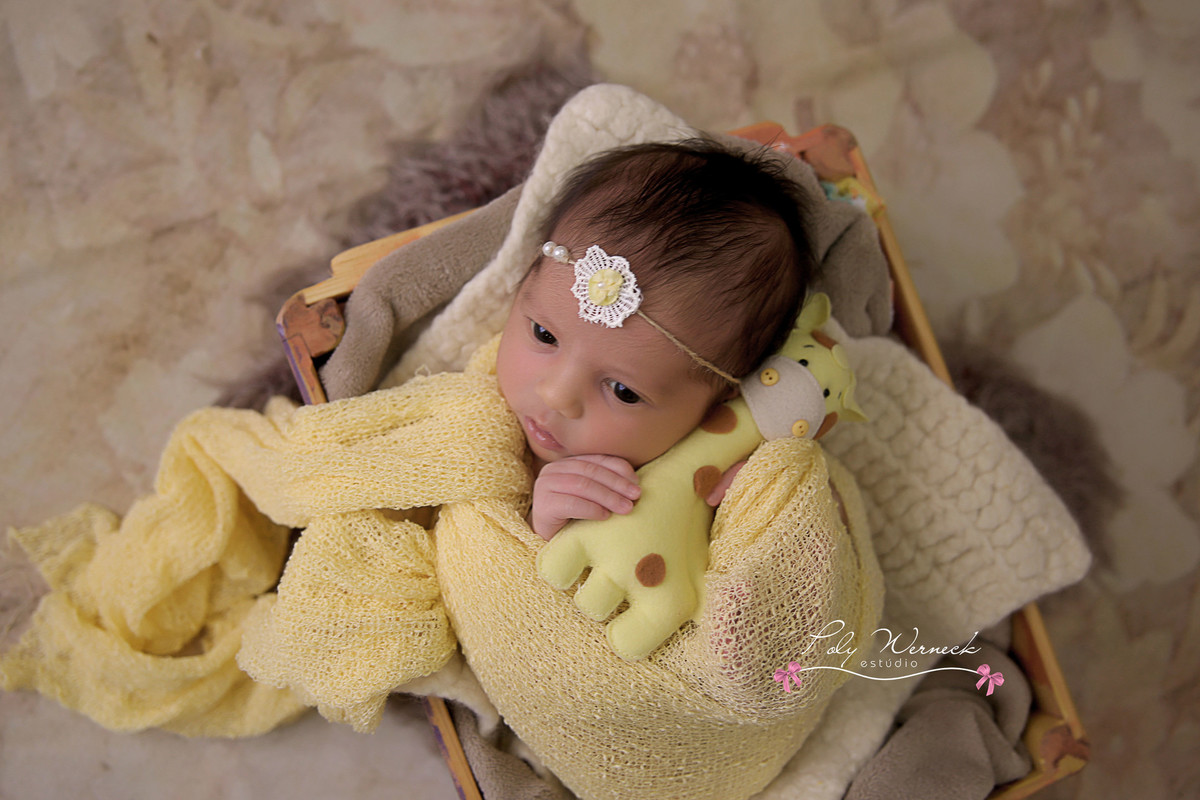 NEWBORN BEBE BABY ENSAIO ESTUDIO ENSAIO BEBE RECÉM NAIDO BRASÍLIA GAMA DF DISTRITO FEDERAL FILHO MENINO BABY BOY FOTÓGRAFA ESPECIALIZADA EM BEBES