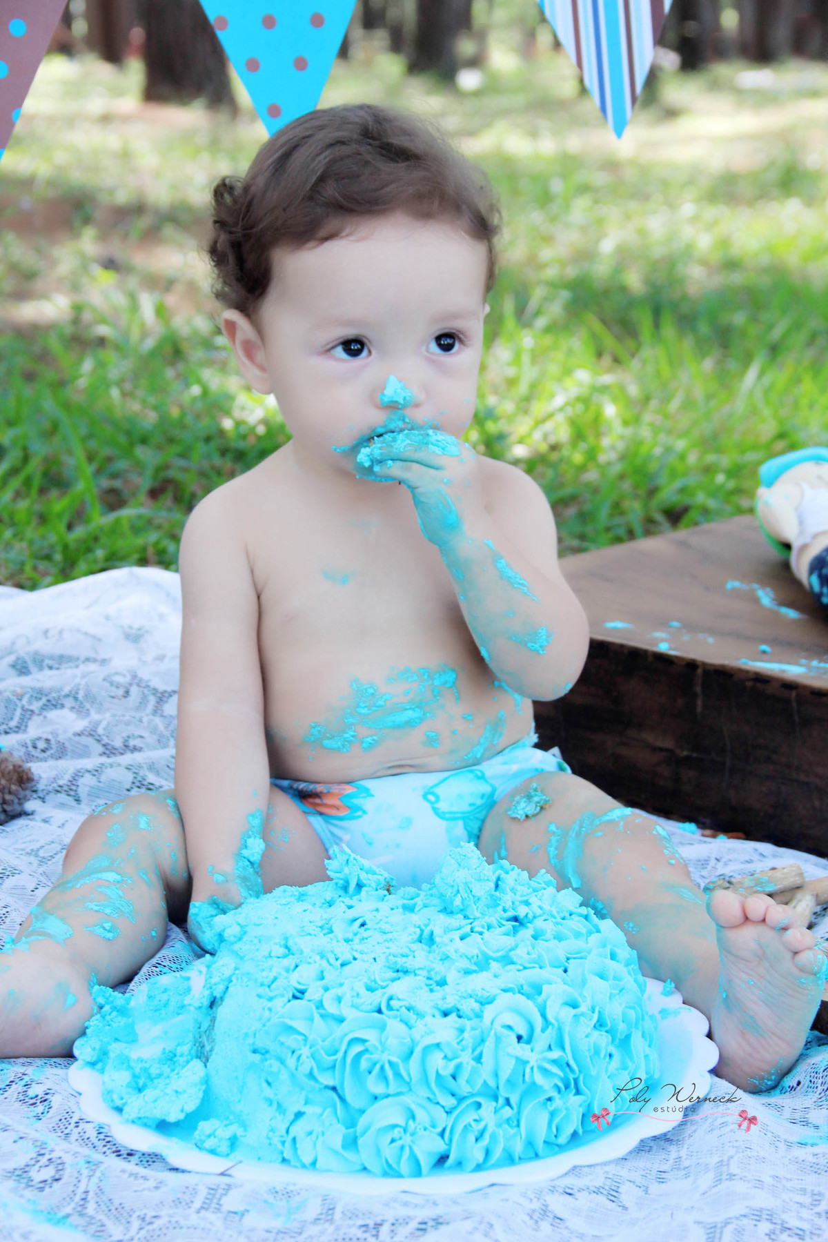 SMASH THE CAKE GAMA DF ESTÚDIO BRASÍLIA FOTOGRAFA BEBE INFANTIL