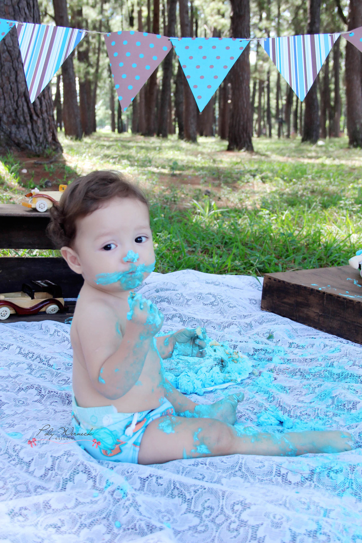 SMASH THE CAKE GAMA DF ESTÚDIO BRASÍLIA FOTOGRAFA BEBE INFANTIL