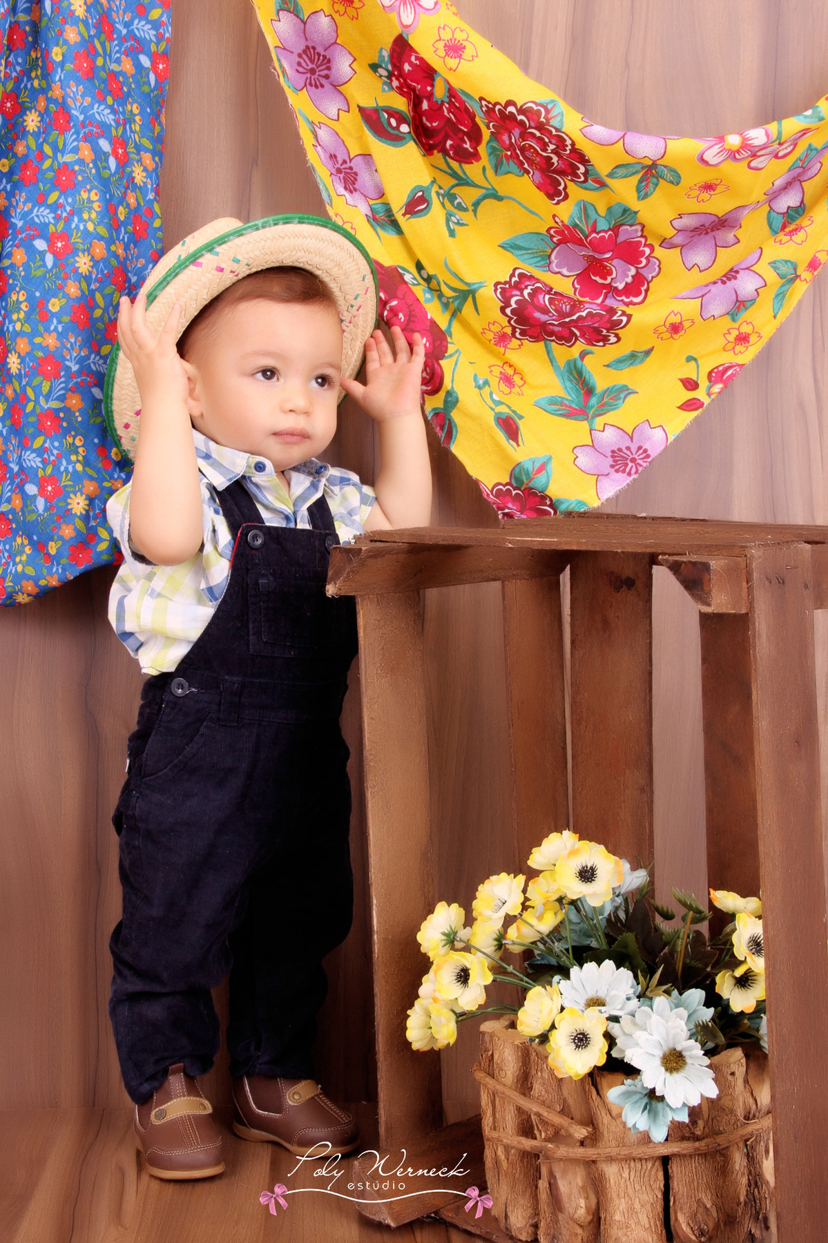 CAIPIRA FOTO ESTÚDIO GAMA BRASÍLIA DF ENSAIO ESTUDIO BEBE INFANTIL