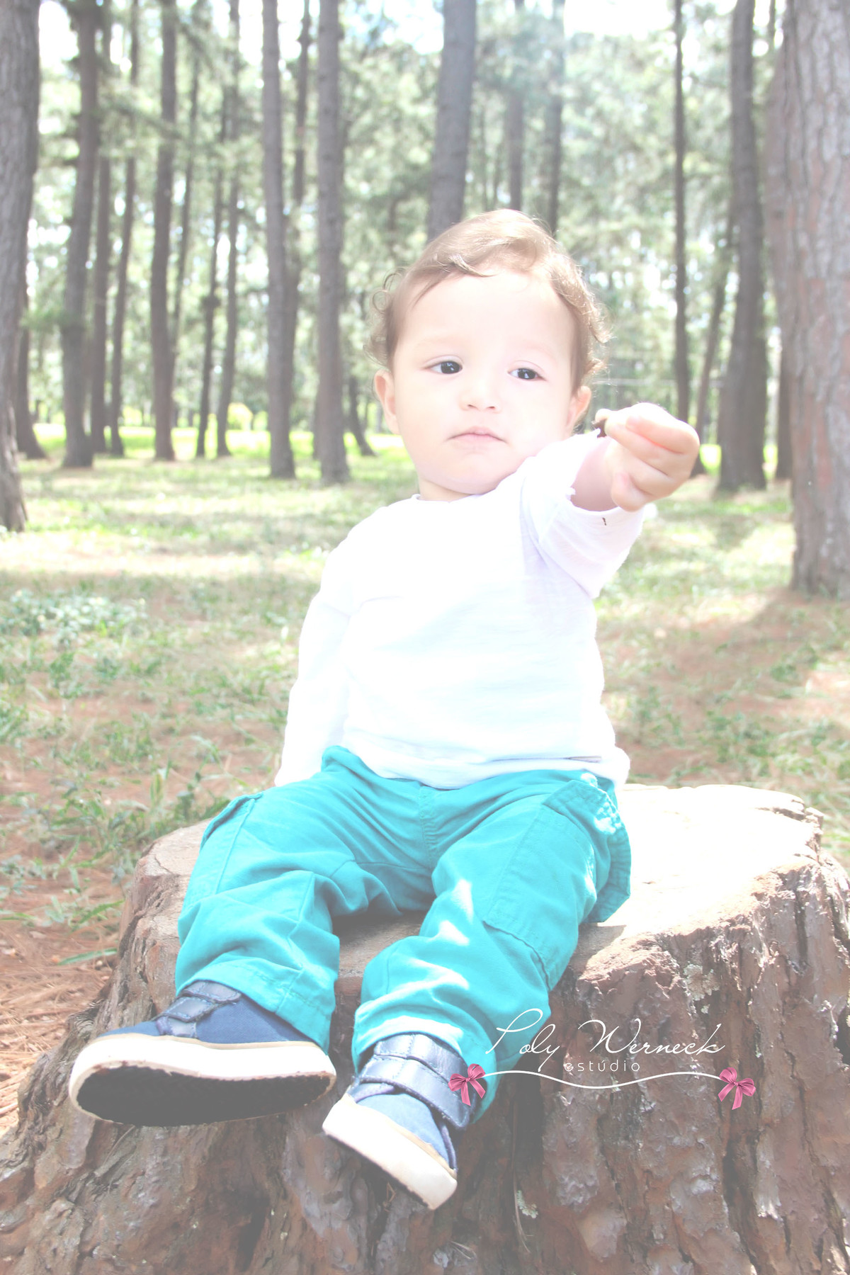 ENSAIO INFANTIL GAMA BRASILIA DF BEBE