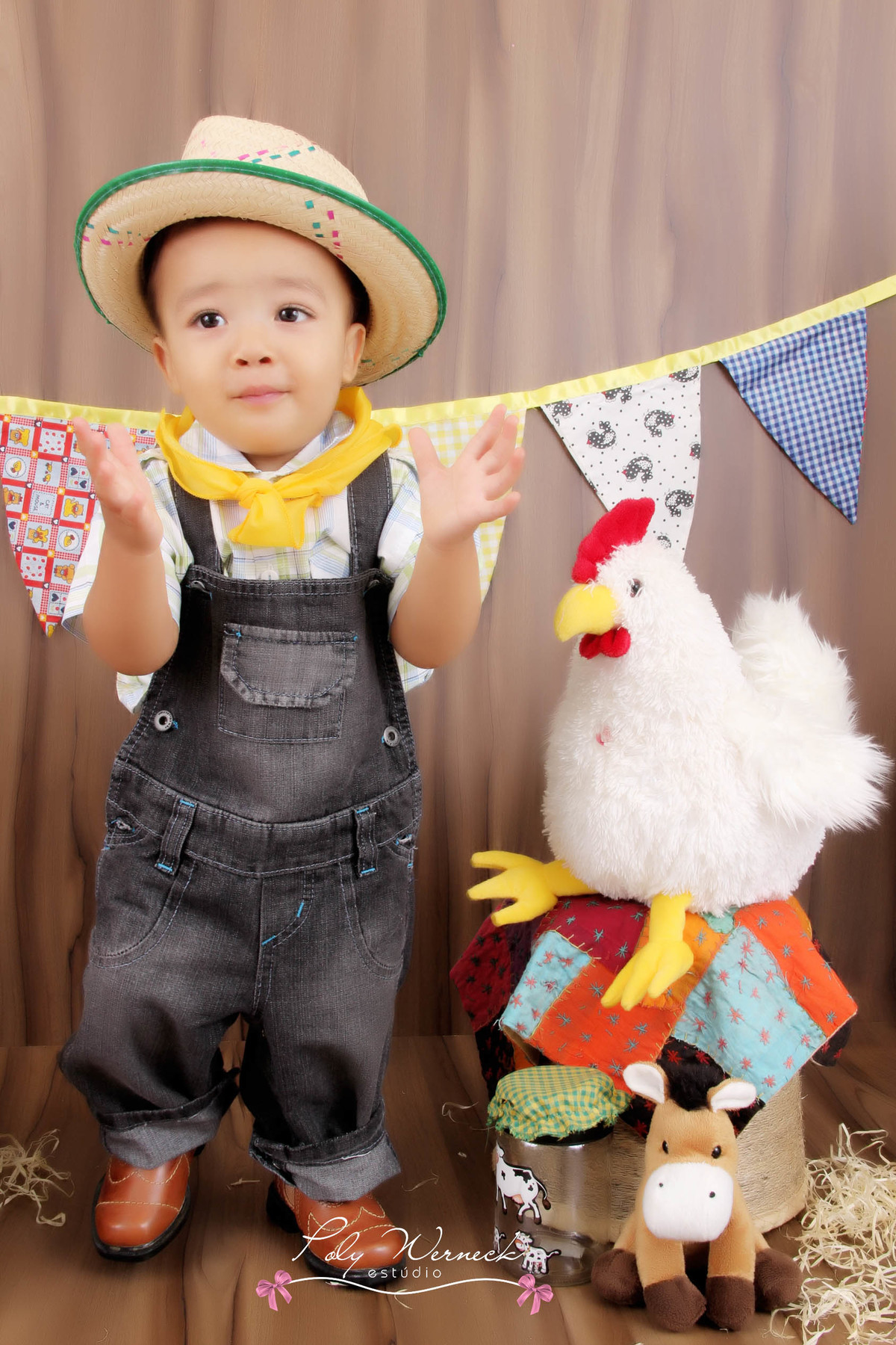 ENSAIO INFANTIL ESTUDIO BEBE FOTOGRAFIA DE CRIANÇA GAMA DF