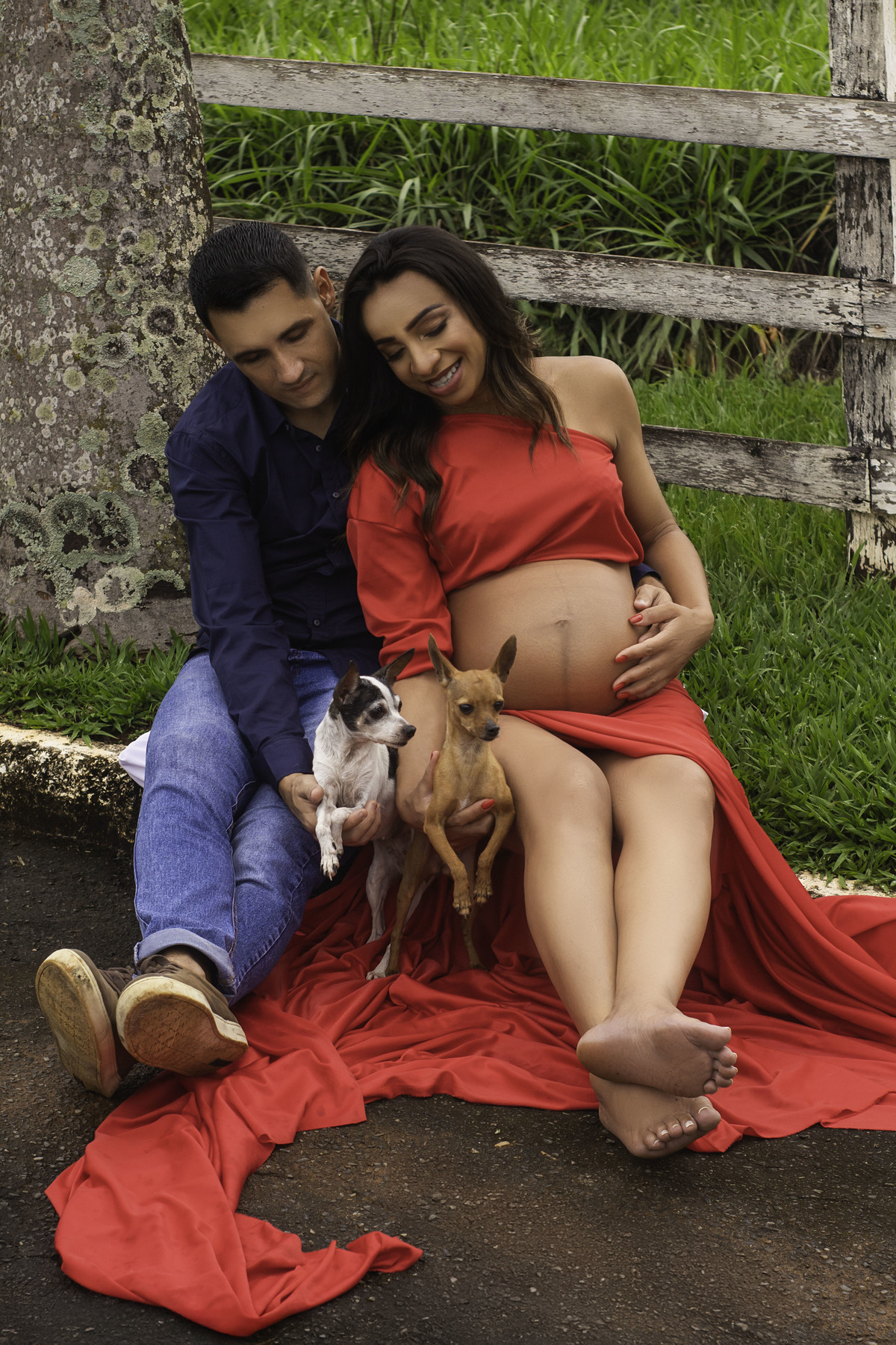Mel e Sofia, as filhas pet, roubando a cena com poses que derretem o coração
