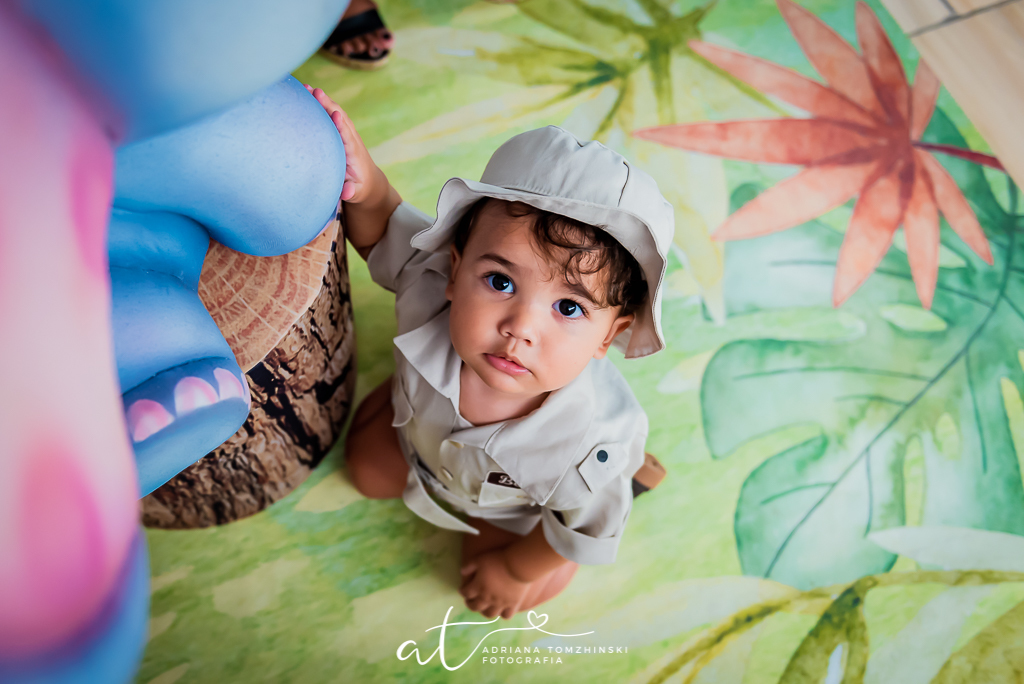 fotografia-festa-infantil-rj, tema-safari, fotografia-de-familia, adriana-tomzhinski-fotografia, foto-aniversario-infantil, fotografo-aniversario-infantil, casa-de-festas-espaço-jardins-verdes-jacarepagua-rj