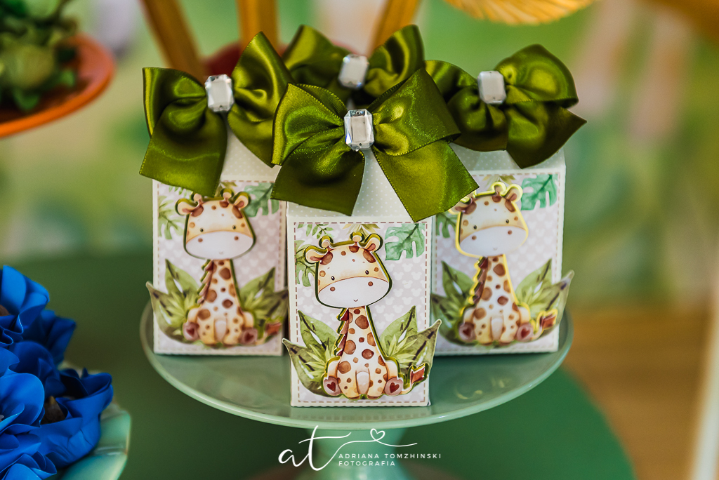 fotografia-festa-infantil-rj, tema-safari, fotografia-de-familia, adriana-tomzhinski-fotografia, foto-aniversario-infantil, fotografo-aniversario-infantil, casa-de-festas-espaço-jardins-verdes-jacarepagua-rj