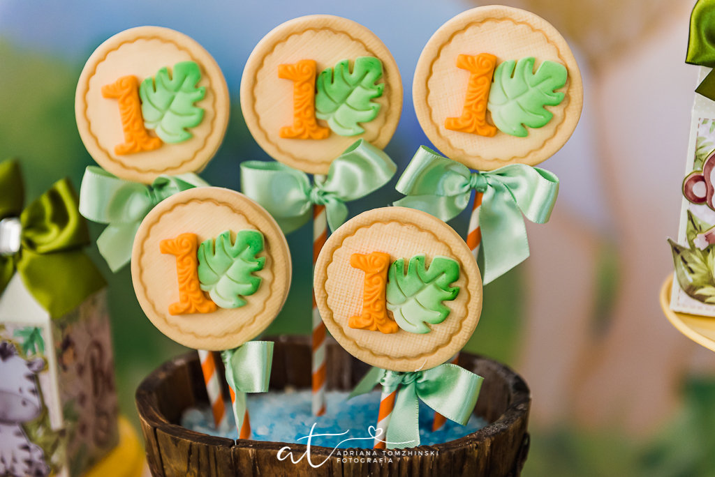 fotografia-festa-infantil-rj, tema-safari, fotografia-de-familia, adriana-tomzhinski-fotografia, foto-aniversario-infantil, fotografo-aniversario-infantil, casa-de-festas-espaço-jardins-verdes-jacarepagua-rj