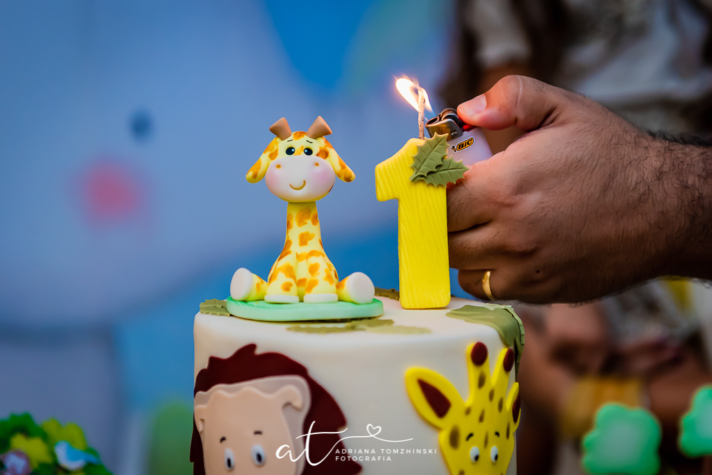 fotografia-festa-infantil-rj, tema-safari, fotografia-de-familia, adriana-tomzhinski-fotografia, foto-aniversario-infantil, fotografo-aniversario-infantil, casa-de-festas-espaço-jardins-verdes-jacarepagua-rj