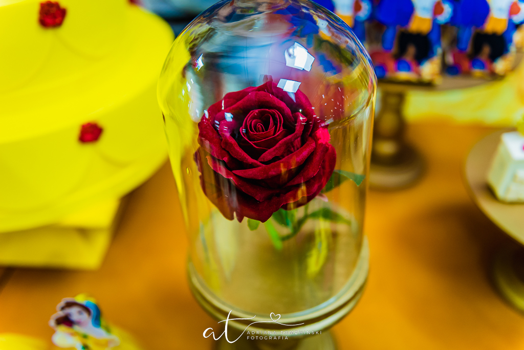 fotografia-festa-infantil-rj, tema-bela-e-a-fera, fotografia-de-familia, adriana-tomzhinski-fotografia, foto-aniversario-infantil, fotografo-aniversario-infantil, casa-de-festas-castelo-da-magia