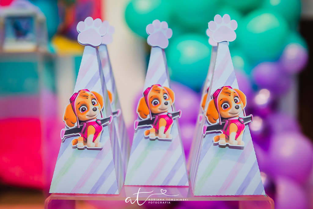 fotografia-festa-infantil-rj, fotografia-de-familia, adriana-tomzhinski-fotografia, foto-aniversario-infantil, fotografo-aniversario-infantil, casa-de-festas-imaginarte-copacabana, tema-patrulha-canina-rosa