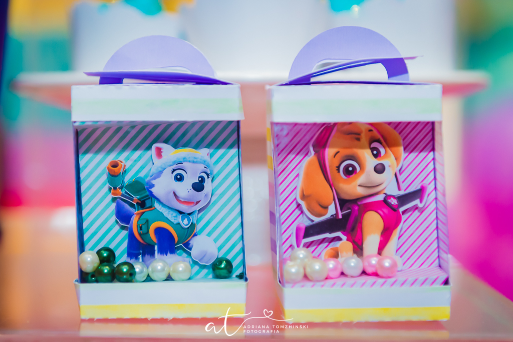 fotografia-festa-infantil-rj, fotografia-de-familia, adriana-tomzhinski-fotografia, foto-aniversario-infantil, fotografo-aniversario-infantil, casa-de-festas-imaginarte-copacabana, tema-patrulha-canina-rosa