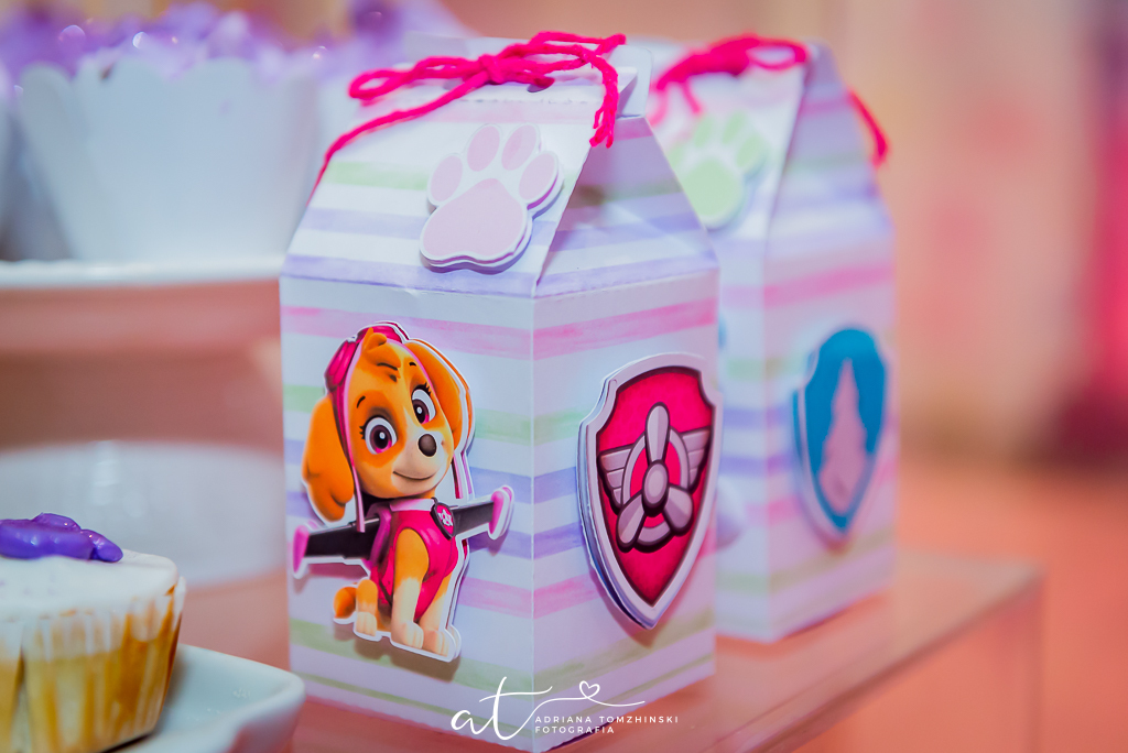 fotografia-festa-infantil-rj, fotografia-de-familia, adriana-tomzhinski-fotografia, foto-aniversario-infantil, fotografo-aniversario-infantil, casa-de-festas-imaginarte-copacabana, tema-patrulha-canina-rosa