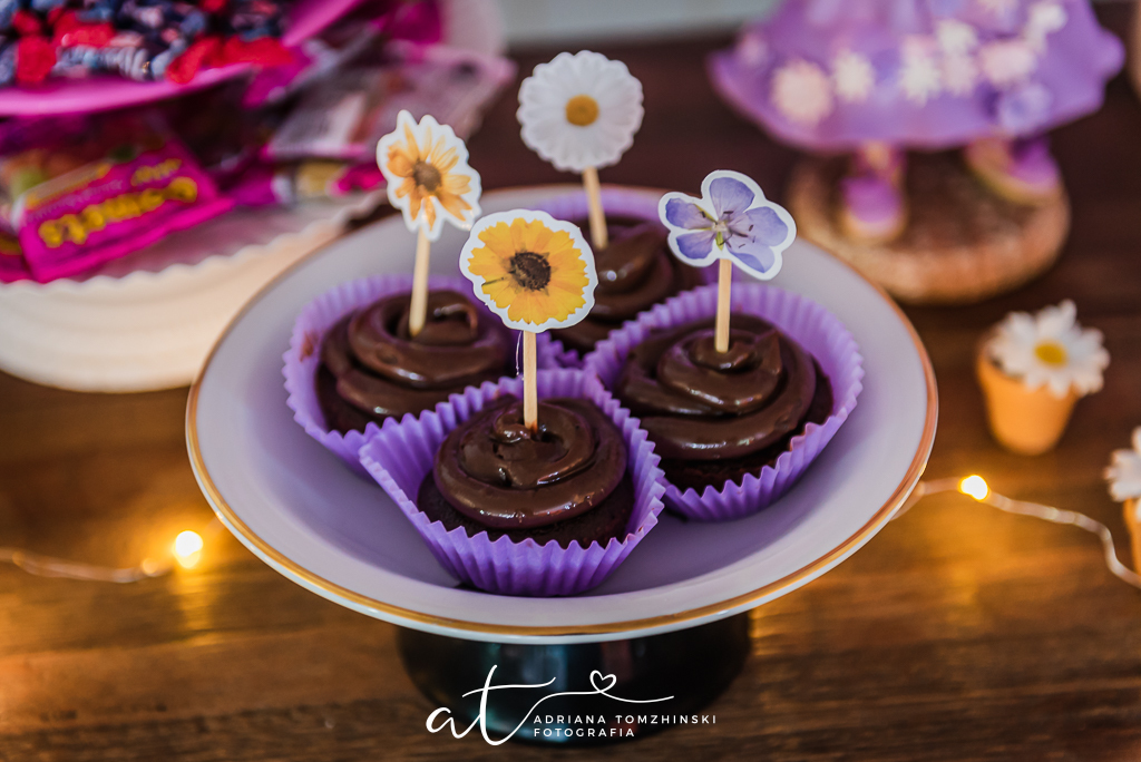 fotografia-festa-infantil-rj, fotografia-de-familia, adriana-tomzhinski-fotografia, foto-aniversario-infantil, fotografo-aniversario-infantil, festa-no-play, tema-encanto