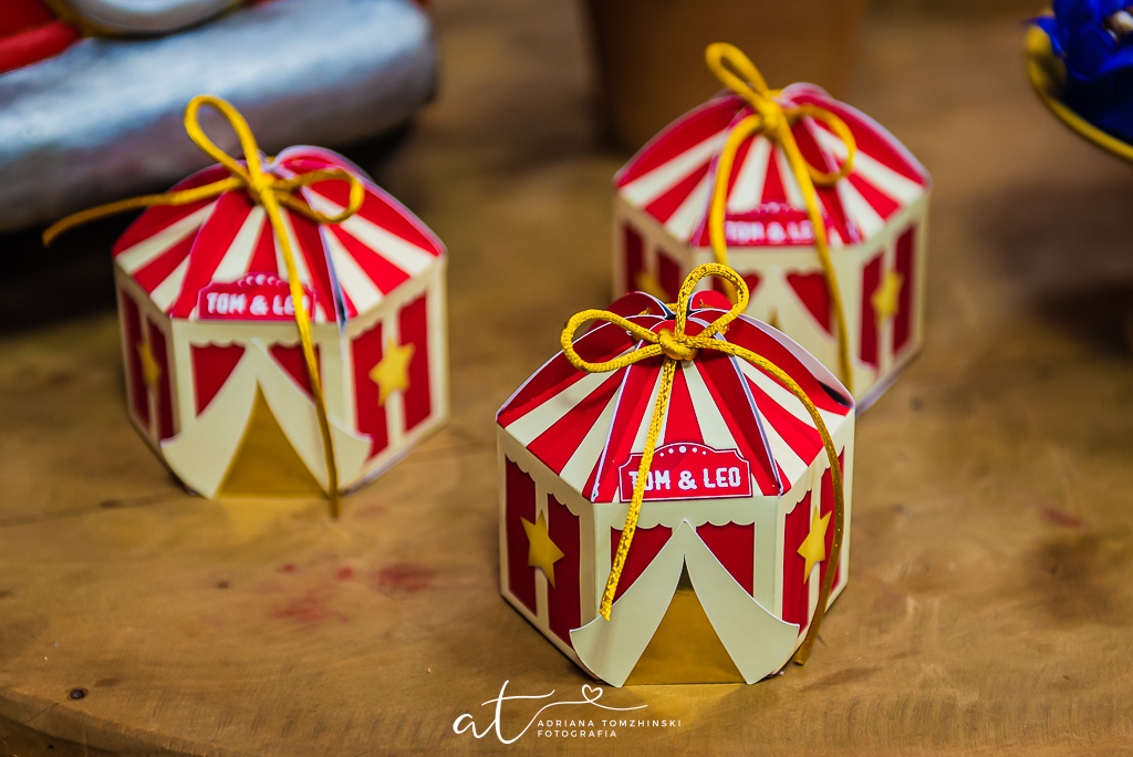 fotografia-festa-infantil-rj, fotografia-de-familia, adriana-tomzhinski-fotografia, foto-aniversario-infantil, fotografo-aniversario-infantil, casa-de-festas-espaco-baoba-tijuca, tema-circo