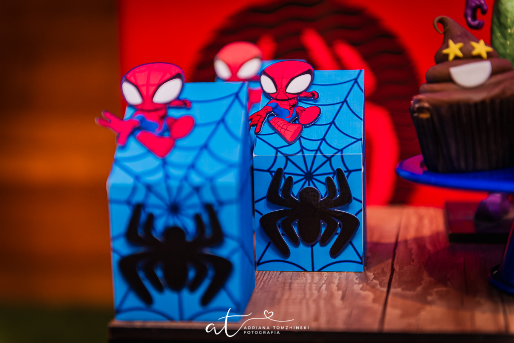 fotografia-festa-infantil-rj, fotografia-de-familia, adriana-tomzhinski-fotografia, foto-aniversario-infantil, fotografo-aniversario-infantil, casa-de-festas-espoleta, tema-homem-aranha-no-aranhaverso