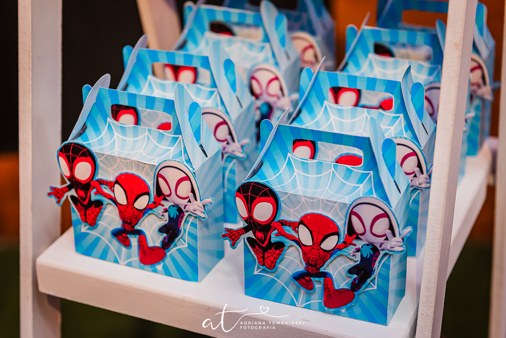 fotografia-festa-infantil-rj, fotografia-de-familia, adriana-tomzhinski-fotografia, foto-aniversario-infantil, fotografo-aniversario-infantil, casa-de-festas-espoleta, tema-homem-aranha-no-aranhaverso