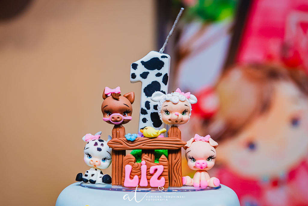 fotografia-festa-infantil-rj, fotografia-de-familia, adriana-tomzhinski-fotografia, foto-aniversario-infantil, fotografo-aniversario-infantil, casa-de-festas-imaginarte-copacabana, tema-fazendinha-rosa
