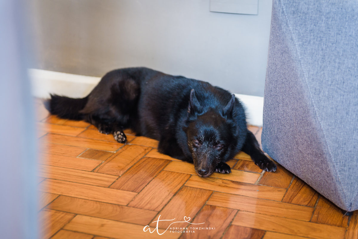 ensaio familia sandy bahia , alice , rafael , nina , laranjeiras , zona sul , RJ , decoracao de interiores , ensaio em casa , aconchego