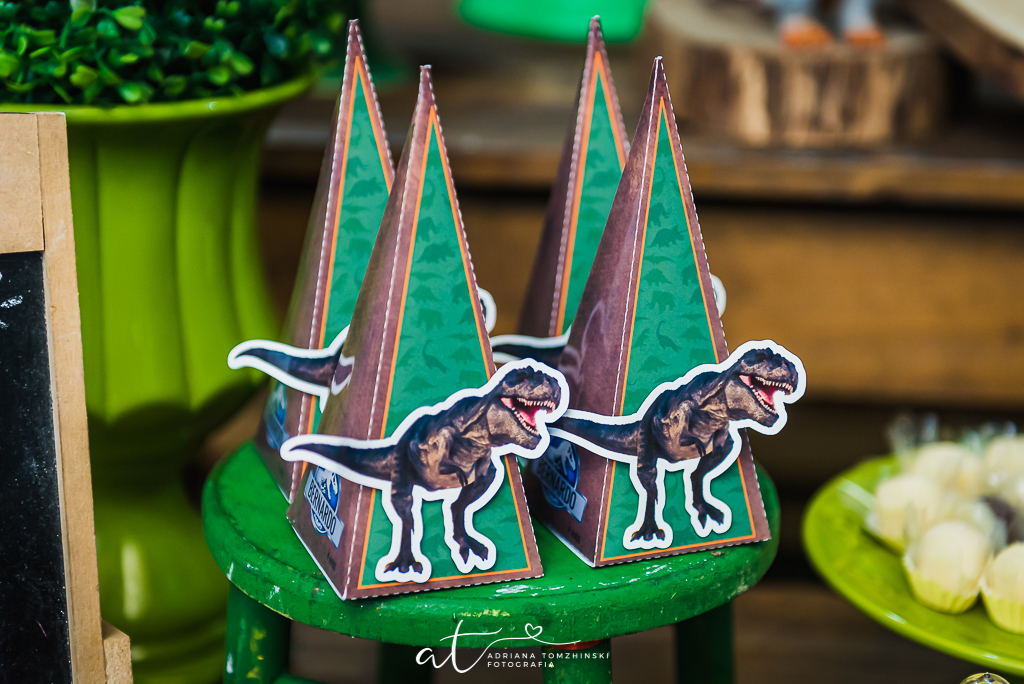 fotografia-festa-infantil-rj, tema-jurassic-world, dinossauros, festa-no-play, jardim-botanico, fotografia-de-familia, adriana-tomzhinski-fotografia, foto-aniversario-infantil, fotografo-aniversario-infantil
