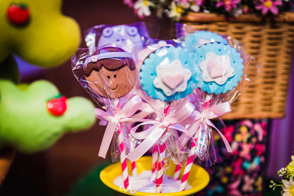 fotografia-festa-infantil-rj, tema-doutora-brinquedos, disney-jr, casa-de-festas-espoleta, barao-de-lucena, botafogo, fotografia-de-familia, adriana-tomzhinski-fotografia, foto-aniversario-infantil, fotografo-aniversario-infantil