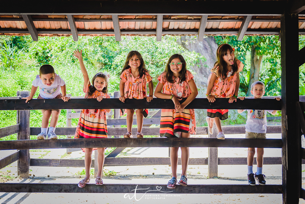 ensaio, itaipava, petropolis, quinta do lago, primos, cousins, gemeos, twins, ensaio de ferias, ensaio ar livre, ensaio luz do dia, jardim, criança feliz, crianças, ensaio familia, cavalos, lagos, casa na arvore