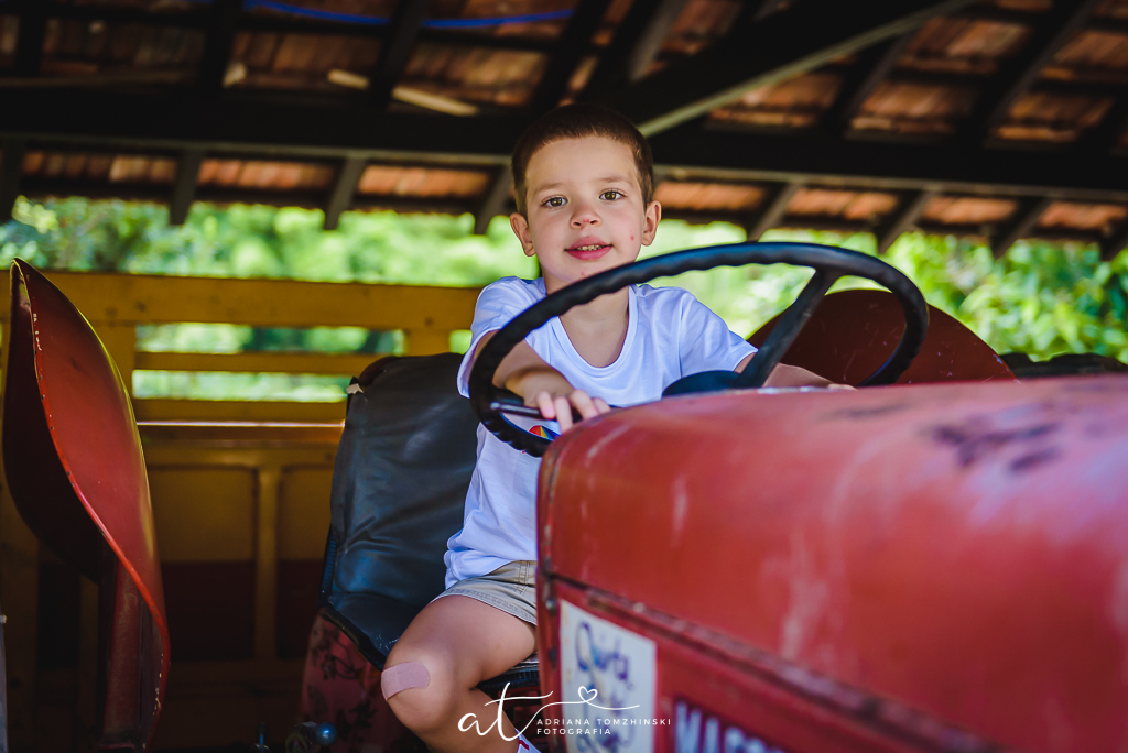 ensaio, itaipava, petropolis, quinta do lago, primos, cousins, gemeos, twins, ensaio de ferias, ensaio ar livre, ensaio luz do dia, jardim, criança feliz, crianças, ensaio familia, cavalos, lagos, casa na arvore