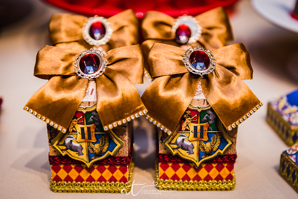 fotografia-festa-infantil-rj, tema-harry-potter, casa-de-festas-imaginarte, copacabana, fotografia-de-familia, adriana-tomzhinski-fotografia, foto-aniversario-infantil, fotografo-aniversario-infantil