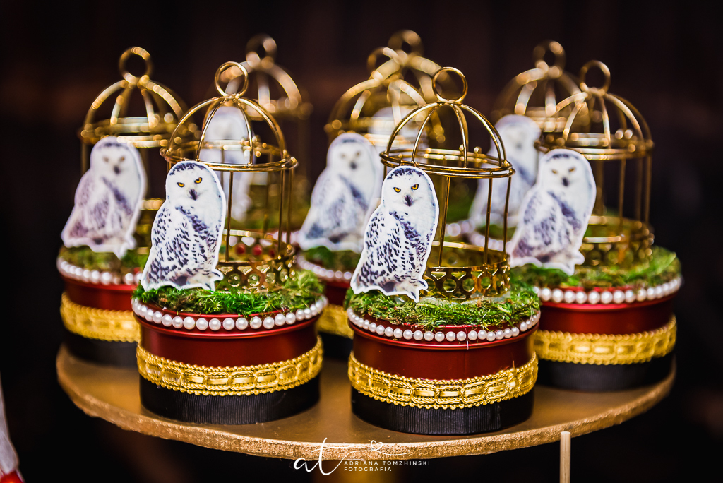 fotografia-festa-infantil-rj, tema-harry-potter, casa-de-festas-imaginarte, copacabana, fotografia-de-familia, adriana-tomzhinski-fotografia, foto-aniversario-infantil, fotografo-aniversario-infantil