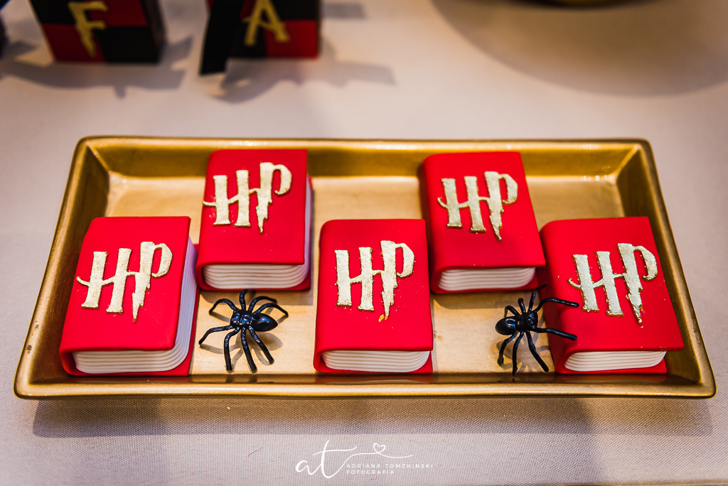 fotografia-festa-infantil-rj, tema-harry-potter, casa-de-festas-imaginarte, copacabana, fotografia-de-familia, adriana-tomzhinski-fotografia, foto-aniversario-infantil, fotografo-aniversario-infantil